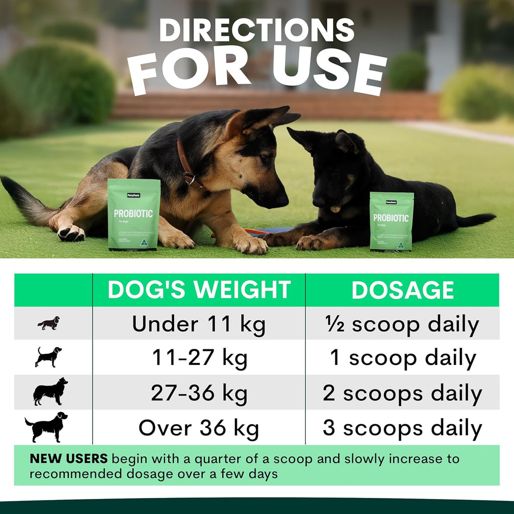 Dog Probiotic Powder for Gut Health