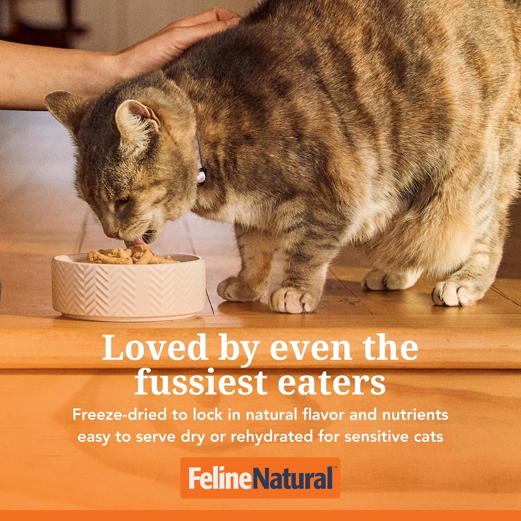 Beef & Hoki Freeze-Dried Cat Food, Grain-Free, 320G