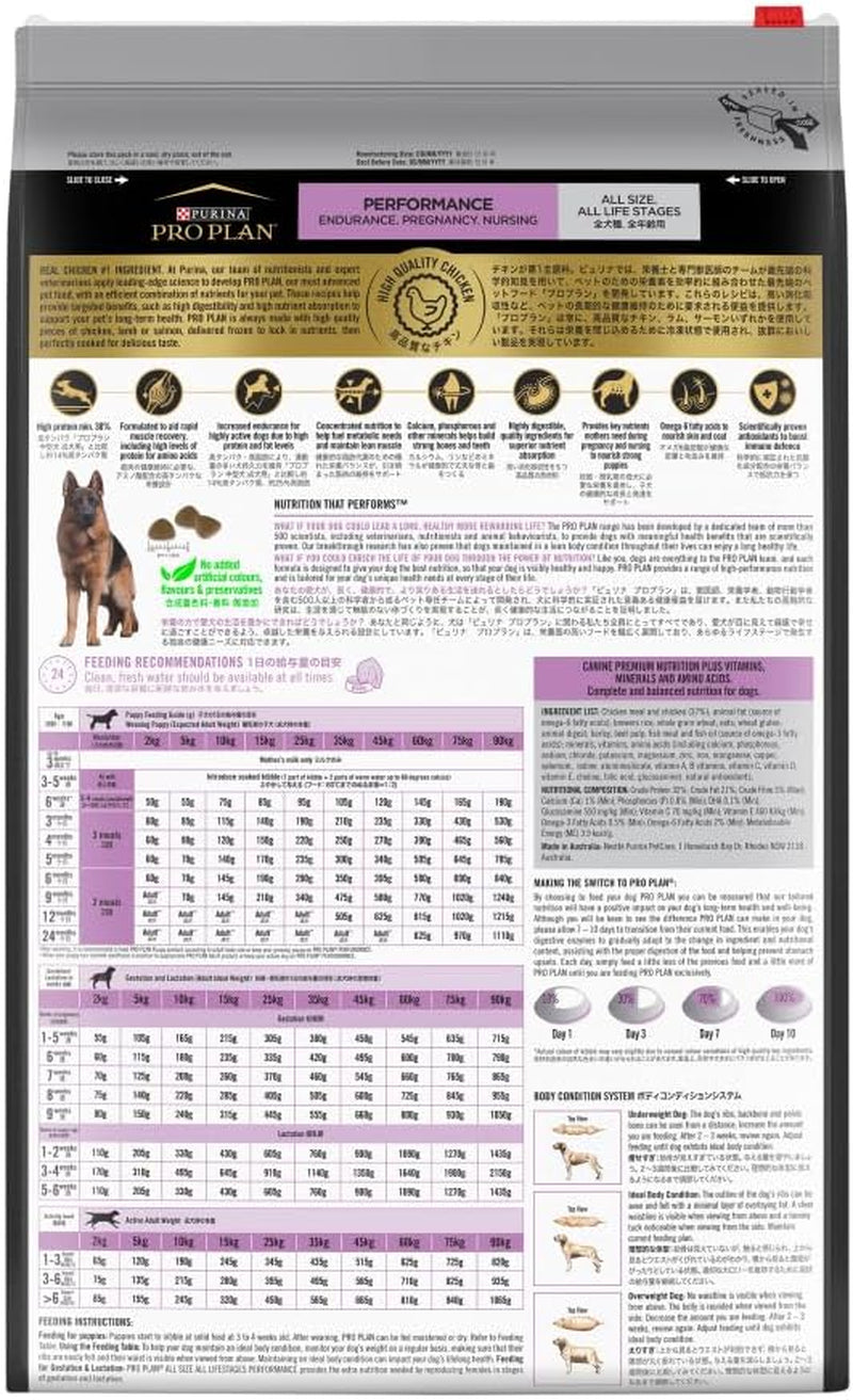 Adult Dry Dog Food Chicken 20Kg