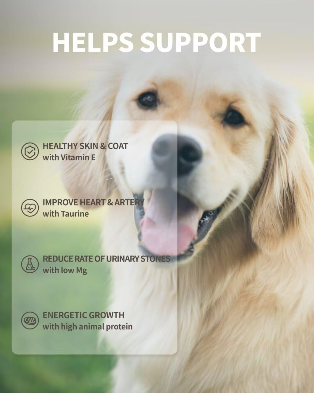 Dog Freeze-Dried Dog Food (Rabbit Recipe)