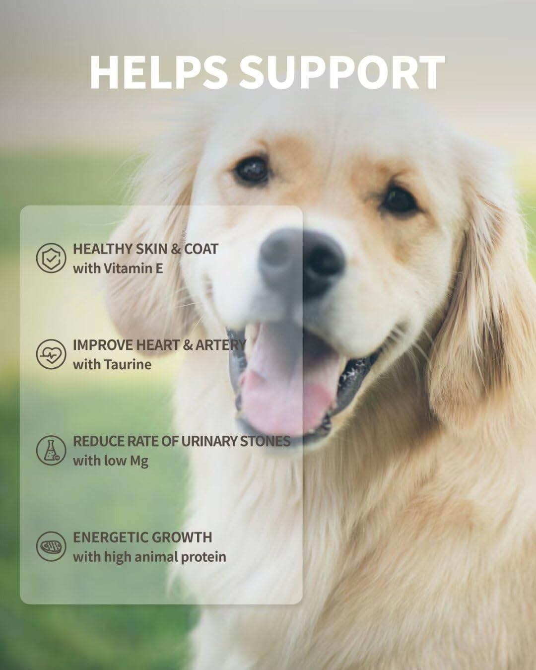 Dog Freeze-Dried Dog Food (Rabbit Recipe)