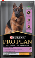 Adult Dry Dog Food Chicken 20Kg