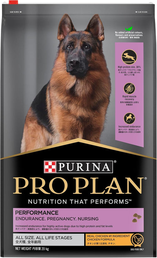 Adult Dry Dog Food Chicken 20Kg