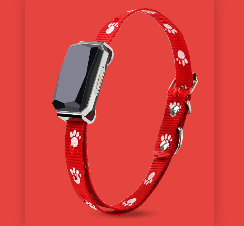 GPS Pet Tracker Collar — Real-Time Dog Location Tracking
