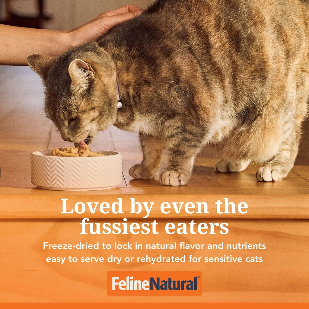 Lamb and King Salmon Freeze-Dried Cat Food, Grain-Free, 320G