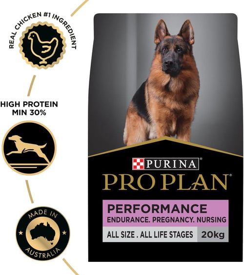 Adult Dry Dog Food Chicken 20Kg
