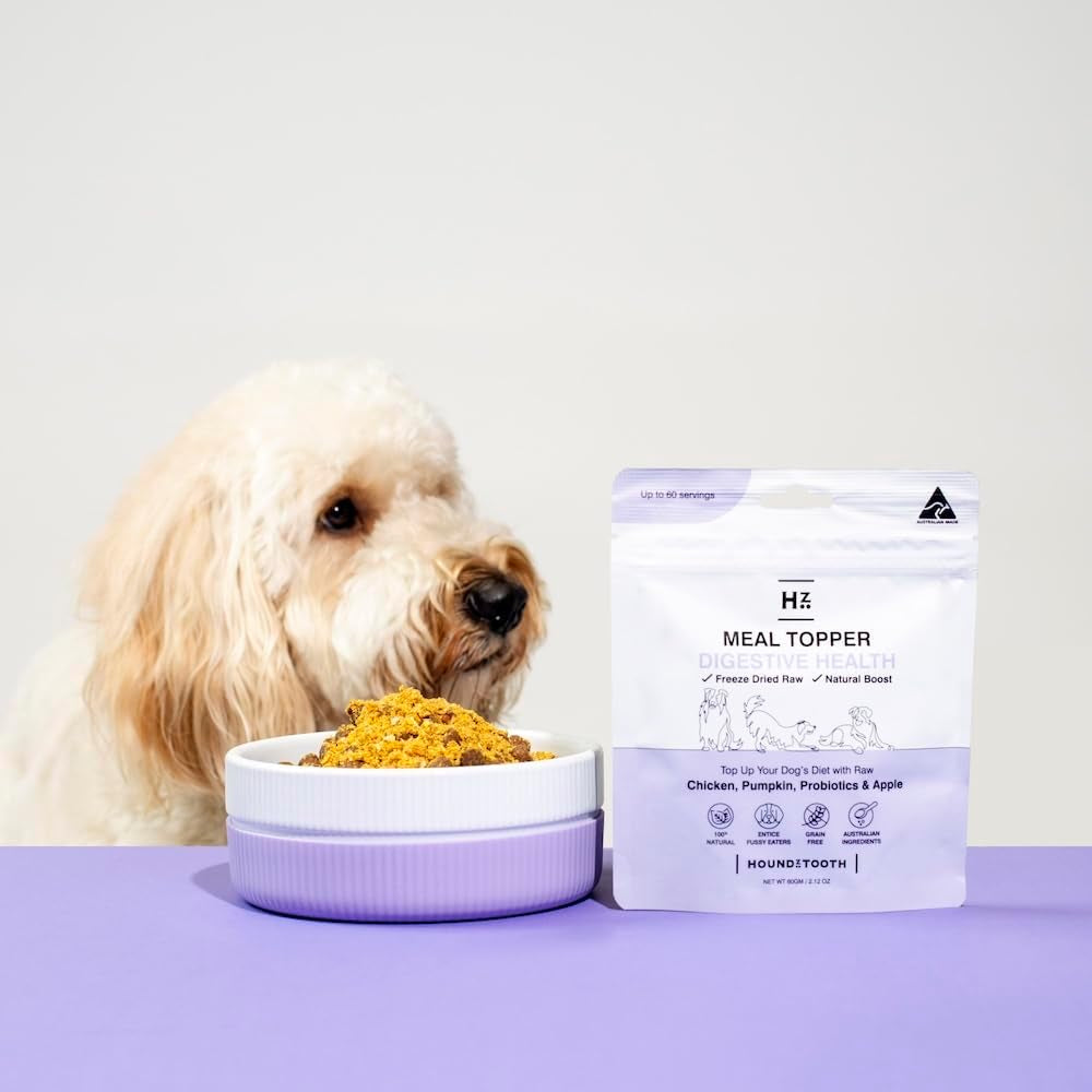 Meal Topper Digestive Health Dog Food 60 G