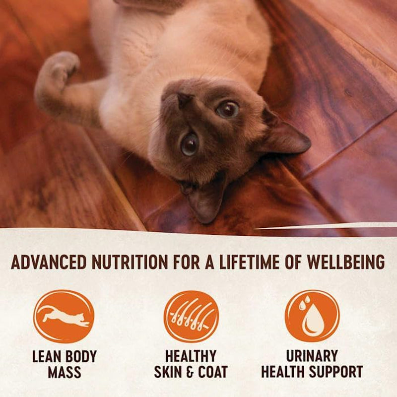 Wellness CORE Signature Selects Seafood Selection Variety Pack for Cats (8 X 79G)