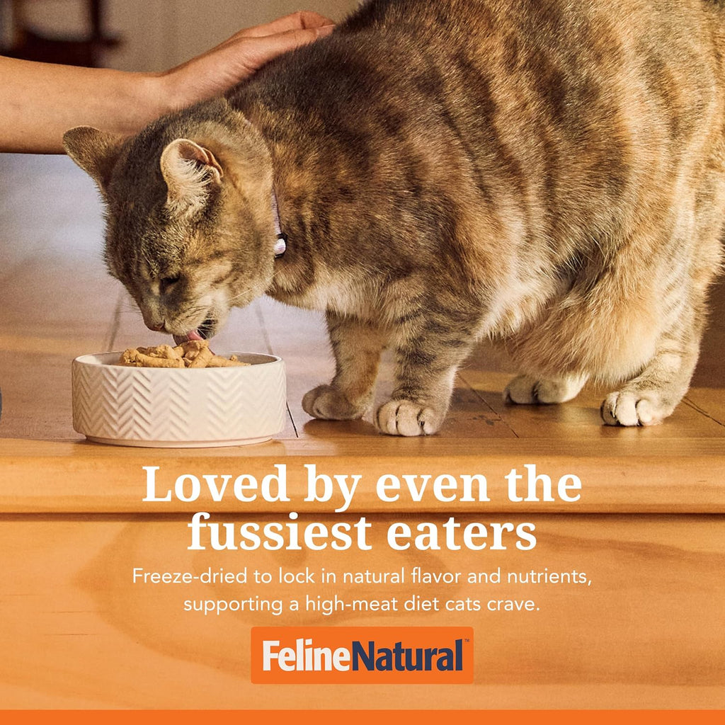 Chicken & Lamb Freeze-Dried Cat Food, Grain-Free