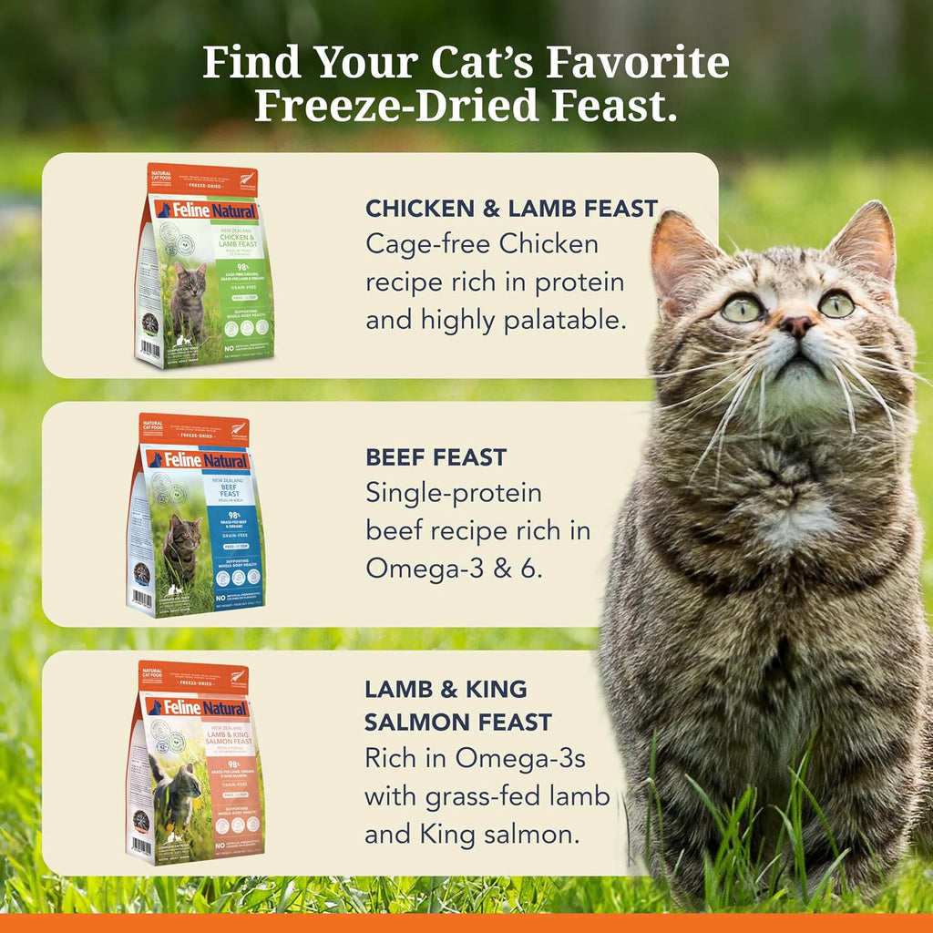 Chicken & Lamb Freeze-Dried Cat Food, Grain-Free