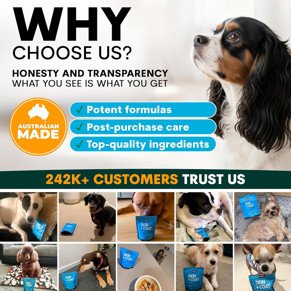 Dog Skin and Coat Supplement with Omega 3