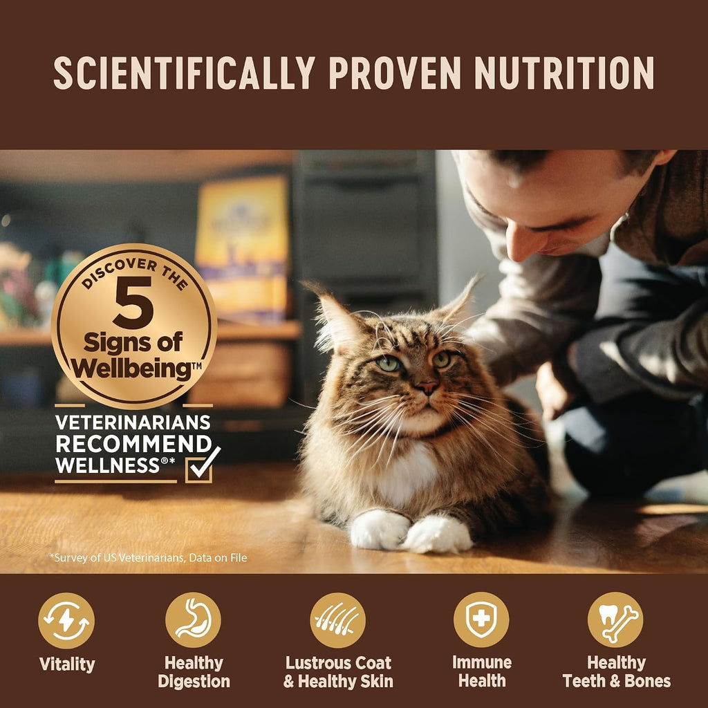 Wellness CORE Signature Selects Pate Boneless Chicken & Beef Entrée 79G X 12