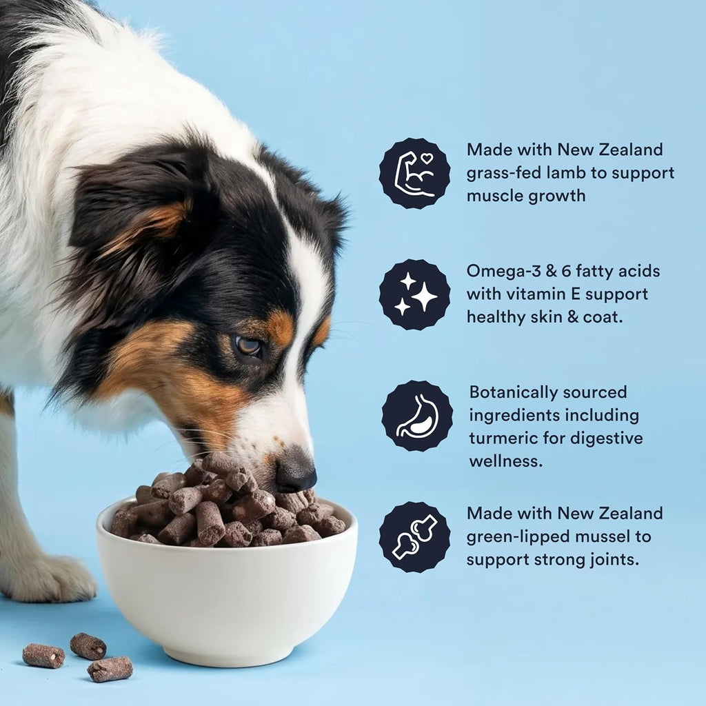 Premium Freeze-Dried Lamb Dog Food 