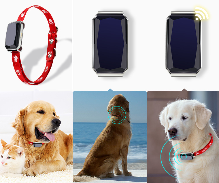 GPS Pet Tracker Collar — Real-Time Dog Location Tracking