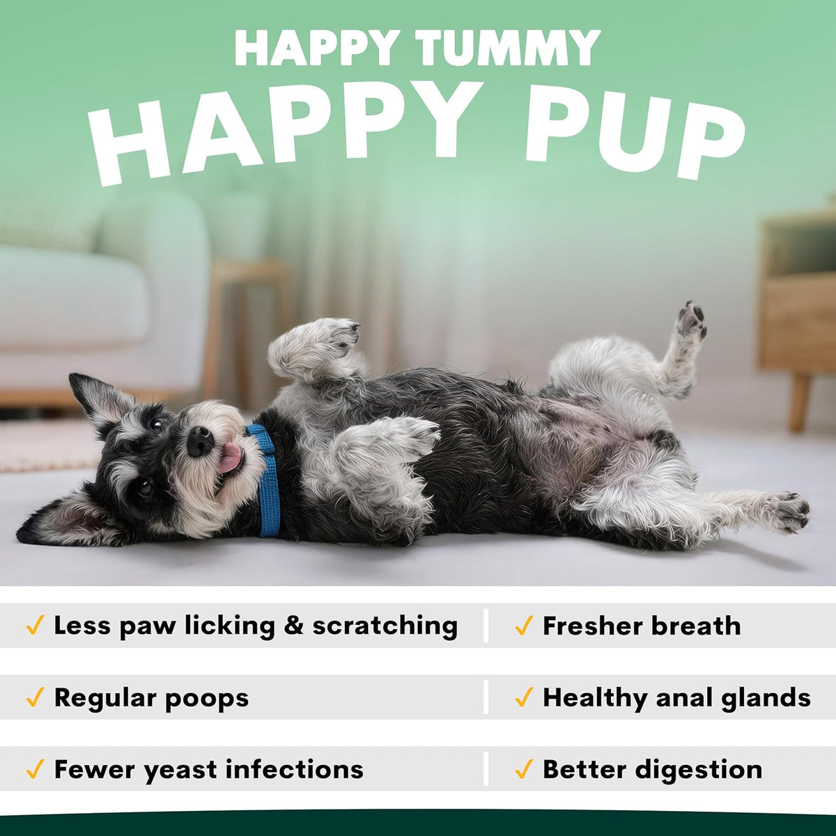 Dog Probiotic Powder for Gut Health