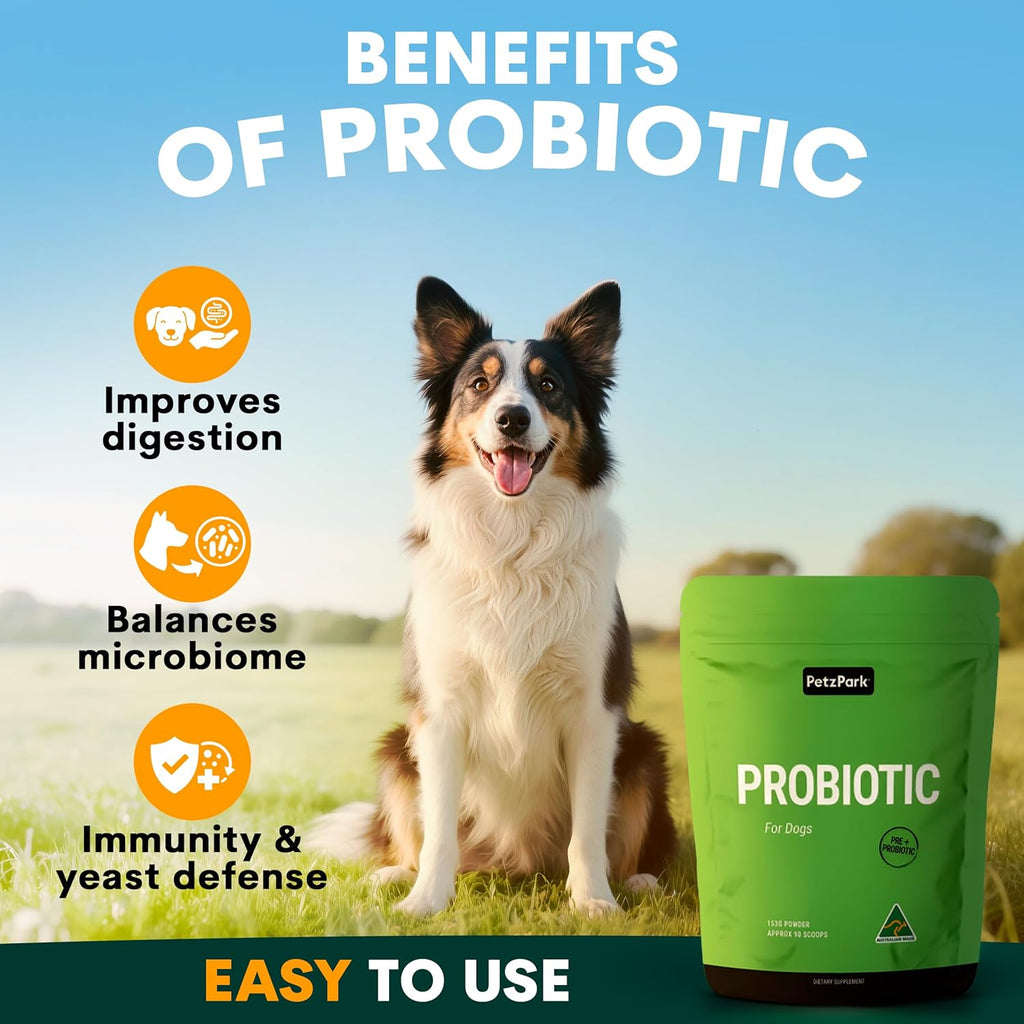 Dog Probiotic Powder for Gut Health